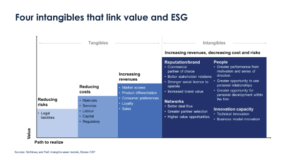 Four intangibles that link value and ESG